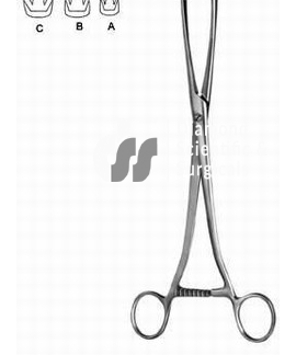Museux utrine tenaculum forceps