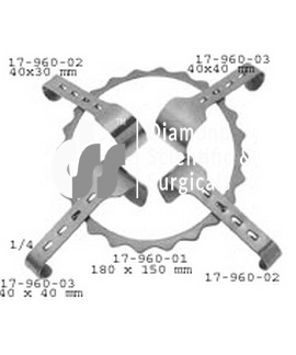 Ring retractor